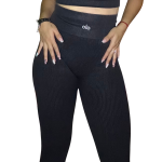 Conjunto deportivo (Blusa cremayera+leggins)